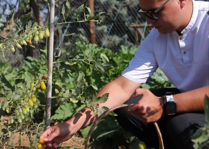 度假居 Paradise 尼亚米卡尼奥纳