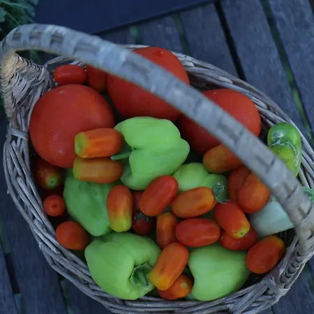 Paradise Prázdninový dům *