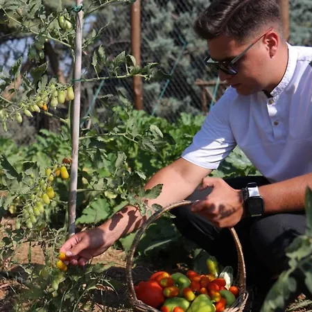 Prázdninový dům Paradise Nea Michaniona